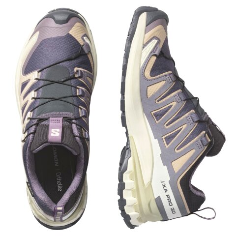 SALOMON XA PRO 3D V9 GTX W Iron