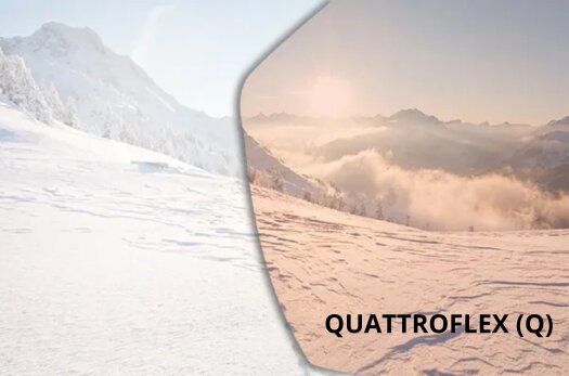 SKI MASKA ALPINA TAOS QUATTROFLEX Matt BlkGreenQ Green S2